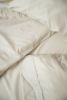 Omne Sleep 4-Piece Cream Microplush and Bamboo Queen Hypoallergenic Sheet Set