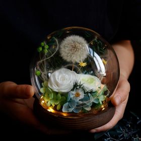 Home Fashion Simple Preserved Flower Dandelion Decorative Craft Ornaments (Option: Ball Style)