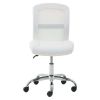 Mid-Back, Vinyl Mesh Task Office Chair