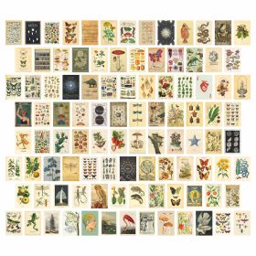 Postcard Printing Wall Sticker Decorative Painting Color (Option: M9003)